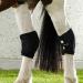 Back on Track Hock Gaiter - Right Black M (1 Pack) | Optimal Support for Performance | Shop Internationally - Buy Online on SooperMarket.com
