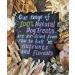 Bald Rabbit Ears Dog Treats 100g - Natural, Hypoallergenic Chews | SLD - Buy Online on SooperMarket.com