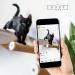 Ruby Road Cat Hammock Wall Mounted Shelf with Steps - Modern Cat Bed for Large Cats - Cat Furniture for Sleeping, Playing, Climbing, and Lounging - Buy Online on SooperMarket.com