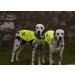 Yellow Reflective Dog Safety Vest with Leash Hole - High Visibility for Outdoor Activities | 4LegsFriend (X-Small) - Buy Online on SooperMarket.com