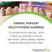 Buy Natures Plus Animal Parade Children s Multivitamin - 50 Gluten-Free Gummies in Assorted Flavors | Shop Internationally - 30 Servings - Buy Online on SooperMarket.com