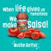Chi Chi's Fiesta Restaurante Seasoning Mix 0.78oz (Pack of 24) - Authentic Mexican Flavor - Buy Online on SooperMarket.com