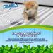 Draxus Odor Remover for Cat & Dog Urine | Microbiological Enzyme Cleaner | 10L Mixed Bottle | Effective Odor Neutralizer - Buy Online on SooperMarket.com