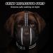 BONTHEE Dog Muzzle Mesh Soft Muzzle for Small Medium Large Sized Dogs Breathable Reflective Adjustable Puppy Muzzles with Collar for Scavenging Grooming Biting Chewing Allows Panting and Drinking XXL - Buy Online on SooperMarket.com