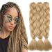 Tess Braids Extensions Blond 60 cm Jumbo Braids Kanecalon Kunsthaar for the single-laid box braids hair extension braid 100g/bundle of hair braids extension (1 piece-medium blonde) 60 cm (1 piece) #24 medium blonde