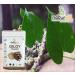 CROV Giloy Powder/Guduchi/Tinospora cordifola Powder - 500 GM X 2 1 KG by B Naturall - Buy Online on SooperMarket.com