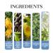 Men's Roller Pheromone Cologne Perfume Oils For Man Travel Size Cologne Roll On Glass Bottle Long Lasting Scent Enhanced Scents Sampler (1pcs) - Buy Online on SooperMarket.com