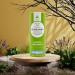 BEN & ANNA Persian Lime Deodorant 40g - Natural Vegan Deodorant in Paper Tube - Buy Online on SooperMarket.com