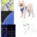 Adjustable Cat Dishes with Leash - Escape Proof Cat Harness & Leash for Kittens & Puppies | International Shipping - Buy Online on SooperMarket.com
