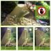 REPTI HOME Reptile Heat Lamp 125W Full Spectrum UVA UVB Sun Lamp Simulate Natural Sunlight Heat Lamp Bulb for Reptile and Amphibian Sun Light 125W - Buy Online on SooperMarket.com
