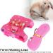 Small Animal Dishes & Leash Set for Squirrels Hamsters Ferrets & Guinea Pigs | Perfect Pet Accessories - Buy Online on SooperMarket.com