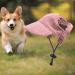 Predolo Pet Sports Hat - Fashionable Pink Dog Sun Hat with Ear Holes Sun Protection Cap for Small Dogs - XL Baseball Cap - Buy Online on SooperMarket.com