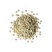 Organic Whole Green Lentils 10 lbs - Non-GMO Raw Beans, Vegan & Kosher - High in Folate, Fiber & Protein - No Soaking Required - Ideal for Soups & Veggie Burgers - Buy Online on SooperMarket.com