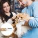 Professional Trimmeters Set for Dogs & Cats - Stainless Steel Fine & Medium Tooth Care Kit - Buy Online on SooperMarket.com