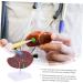 Baluue Liver Anatomical Model Liver Model with Base Anatomical Liver Model Human Body Gallbladder - Buy Online on SooperMarket.com