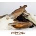 Premium Rabbit Ears Chew Snack for Dogs - 1000g | 100% German Made | Odorless Bag - PrideDogs - Buy Online on SooperMarket.com