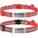 Tagme 2 Pack Katzenollsband with name and telephone number cat necklace with safety clasp and bell 18-31 cm for cats red standard size 18-31cm red