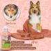 Nobleza Dog Shampoo for Itching & Mites - Anti-Bacterial Sensitive Formula for Cats Puppies & Kittens - 250ml Red - Buy Online on SooperMarket.com