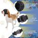 Pet Calming Cap - Fabric Anxiety Noise Cancelling for Dogs - Anti Car Sickness - Medium - Buy Online on SooperMarket.com