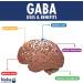 140 vcaps GABA (Gamma-Aminobutyric Acid) 600mg - Buy Online on SooperMarket.com