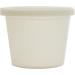 Vito's Deli Container with Lid 4oz (50 Pack) - Food Storage Solution - Buy Online on SooperMarket.com
