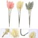Zerodeko 36 Pcs Artificial Corn Ear Fake Flower Rustic Decor Wheat Ear Crafts Harvest Decoration Wedding Vases Natural Wheat Ear Wheat Ears Flowers Naturales Bride Display Plastic Air Dry Assorted Colorx2pcs 30X1.5CMx2pcs - Buy Online on SooperMarket.com