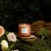 La Jolie Muse Damascen Rose Fragrance Candle - 75 Hours of Aromatic Bliss Natural Wax & Floral Aroma - Perfect Gift for Women - 285g Rose Noir & Oud - Buy Online on SooperMarket.com
