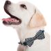JpGdn 10pcs Small Dogs Collar Attachment Bows Ties for Puppies Cats Birthday Party Adjustable Bowties Sliding Bows Neckties Grooming Accessories Costumes Wedding 10pcs dog collar - Buy Online on SooperMarket.com