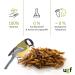 UGF Soldier Fly Larvae (500g) - Superior to Dried Mealworms - 85x Calcium - Ideal Treats for Birds Turtles Rodents & More - Buy Online on SooperMarket.com