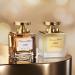 Oscar de la Renta Alibi Eau Sensuelle Eau de Parfum 3 Piece Gift Set - Buy Online on SooperMarket.com