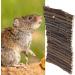 Small Animals Wooden Arch Bridge | Hamster & Guinea Pig Hiding Place | Rodent Conductor Bridge for Ferrets & Chinchillas - Buy Online on SooperMarket.com