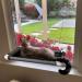 Lcybem Cat Window Hammock - Cat Window Perch with Sturdy Suction Cups Window Bed for Cats Inside, Cat Window Seat Safety Holds Two Large Cats, Providing All Around 360 Sunbathe for Indoor solid