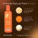MAKARI Extreme Active Intense Argan and Carrot Oil Body Glycerin (16.8 oz) - Fades Spots, Hydrates Skin | Brightens Complexion | All Skin Types - Buy Online on SooperMarket.com