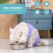 Avont Katzenbody - Post-Op Recovery Suit for Cats | Leak Protection Abdominal Wounds Skin Diseases | Size M - Lavender - Buy Online on SooperMarket.com