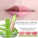 Kaynest Lips Aloe Vera Lipstick Set-A - Long Lasting Moisturizing Nutritious Lip Balm for Magic Color Change - 2 Packs - Buy Online on SooperMarket.com