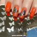Alexnailart Butterfly Nail Stamping Plate - DIY Manicure Stencil Tools (NA001) - Buy Online on SooperMarket.com