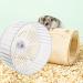 Gerbil Pig Wheel 12 Inch Silent Hamster Wheel | 26.5X23cm | Quiet Exercise Wheel - Buy Online on SooperMarket.com