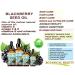 100% Pure Blackberry Seed Oil - Virgin Unrefined Cold Pressed Carrier Oil for Face Skin Hair | 0.5 Fl. oz - Buy Online on SooperMarket.com