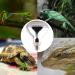 Buy Dernord 100W UV Heat Lamp for Turtles Geckos & Terrariums - Full Spectrum E27 Solar Spotlight - Buy Online on SooperMarket.com
