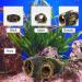 CTPENG Aquarium Cave - Kunst Resin Betta Decoration - Ideal for Small & Medium Aquariums (Harz 13.5x9x5.5 cm) - Buy Online on SooperMarket.com