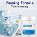 Toilet Cleaner Foam Toilet Cleaner 2023 Upgrade Toilet Cleaner Cleaner Foaming for Toilet Natural Toilet Cleaner Toilet Active Oxygen Agent Easy to Use (2Pcs) - Buy Online on SooperMarket.com