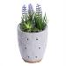Essential Oil Diffuser, Artificial Succulent Plants Potted Diffusers for Essential Oils with 7 Colors LED Light,Ceramic Cool Mist Super Quiet Aromatherapy Diffuser for Home Office Room Grey