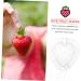 Gogogmee 5pcs Fruit Shaping Mold Plastic Fruit Cucumber Shaping Tool Vegetable Shaping Tool Garden Tools - Buy Online on SooperMarket.com