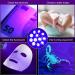 BeinHome UV Flashlight Black Light - 5 Pack UV Lamps with 12 LEDs 395nm Pet Urine Detector for Dog and Cat - Includes 15 AAA Batteries - Buy Online on SooperMarket.com