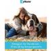 Buy Zylkene 450mg for Dogs & Cats - 50 Capsules | Calming Supplement for Stress Relief - International Shipping Available - Buy Online on SooperMarket.com