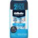 Gillette Endurance Antiperspirant / Deodorant Cool Wave Clear Gel 3.8 Ounce (Pack of 2) Packaging may Vary Cool Wave 3.8 Ounce (Pack of 2)