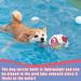 Hetoo Interactive Dog Toys | Durable Football with Gripping Bottles | Perfect for Small & Medium Breeds | Water Toys for Indoor & Outdoor Play - Large Size 3 Angry-Chick - Buy Online on SooperMarket.com