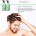 Luseta Tea Tree & Mint Conditioner 33.8 Oz - Refreshing Anti-Dandruff Scalp Care Infused with Peppermint Oil Paraben & Sulfate Free - Buy Online on SooperMarket.com
