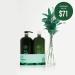 Tea Tree Tingle Special Liter Duo Set - Ultimate Hair and Scalp Care Combo - Buy Online on SooperMarket.com