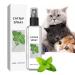 100ml Herbal Cat Joy Spray Herbal Cat Joy Celery Pets Catnip Spray for Cats Cat Scratching Spray Mist Cat Training Spray with Catnip Catnip Spray for Indoor Cats Cat Nips Spray for Cat Anxiety Relief